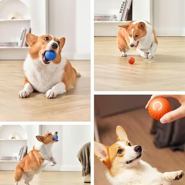 🔥Last Day Promotion -Viral Bouncing Ball
