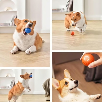 🔥Last Day Promotion -Viral Bouncing Ball