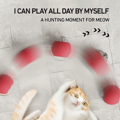 Interactive Cat Toys Ball