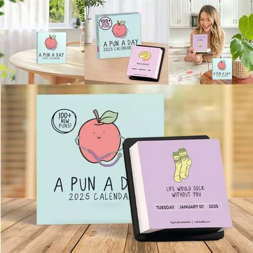 2025 Punny Daily Desk Calendar| Funny Calendar 2025 Day to Day for Home or Office