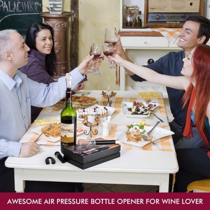 🔥Wine Air Pressure Pump Opener Set