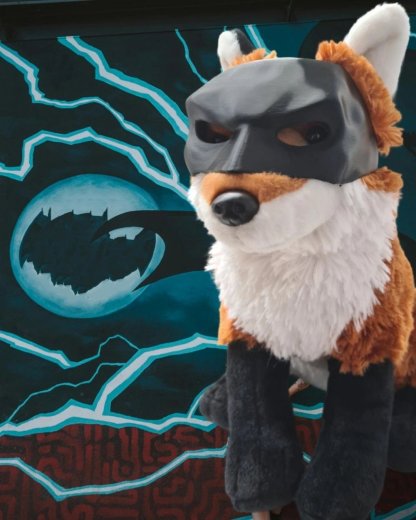 🦇3D Printed Bat Cat Mask