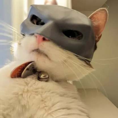 🦇3D Printed Bat Cat Mask