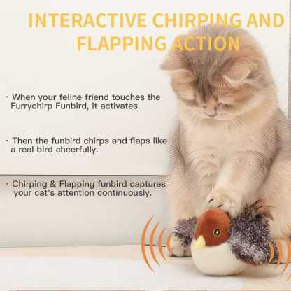 🌲Christmas Special 50% OFF- Electric  Cat Toy