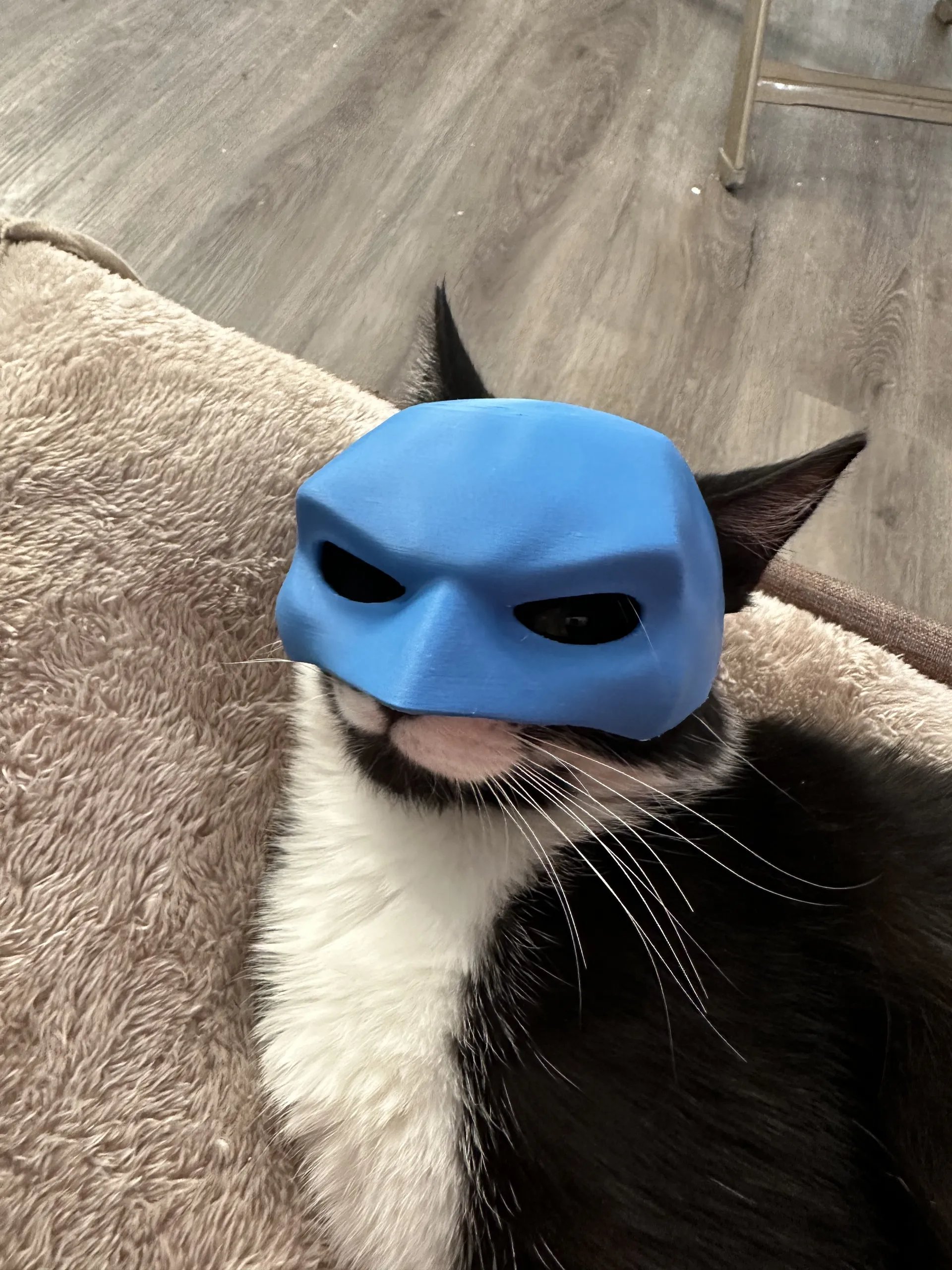 🦇3D Printed Bat Cat Mask
