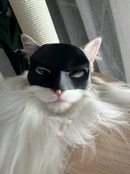 🦇3D Printed Bat Cat Mask