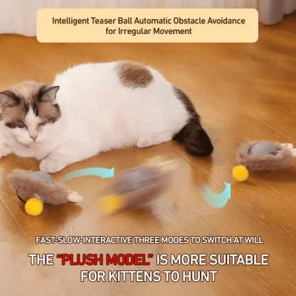 Interactive Cat Toys Ball