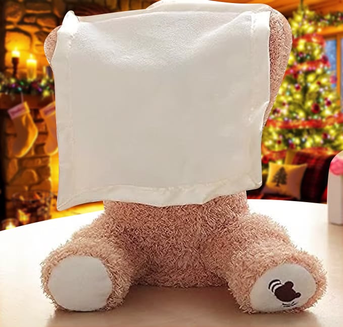 🎁Last Day Promotion 60% OFF-🧸THE PERSONALIZED PEEK-A-BOO BEAR