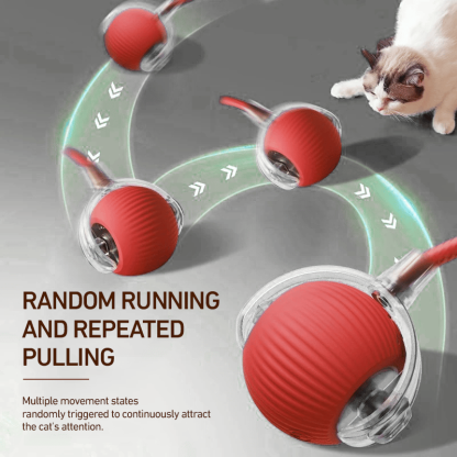 Interactive Cat Toys Ball