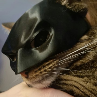 🦇3D Printed Bat Cat Mask