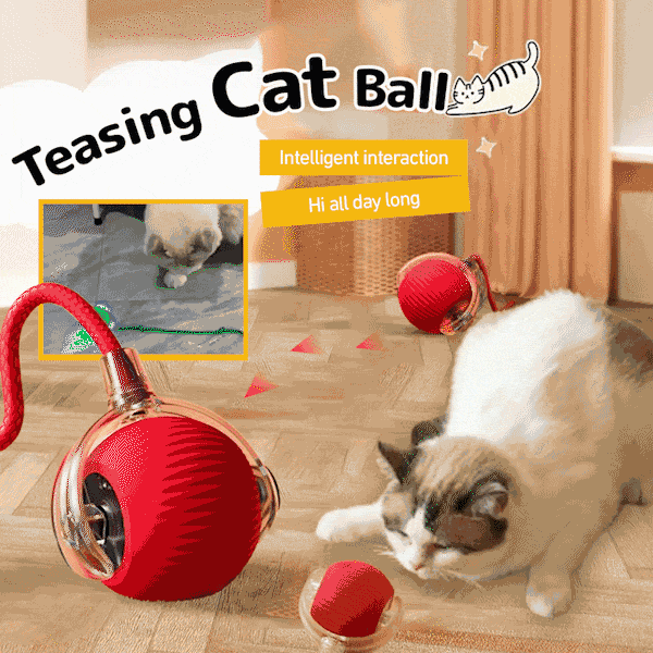 Interactive Cat Toys Ball