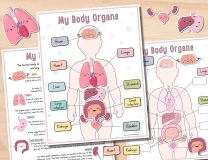 🔥Last Day 49% OFF- Human Anatomy Busy BookBUY 2 FREE SHIPPING