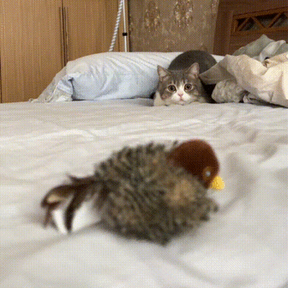 Flappy-simulation-bird-cat-toy-fo-interactive-play-with-chirping sounds