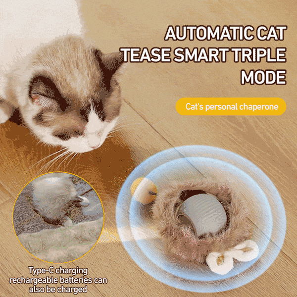 Interactive Cat Toys Ball