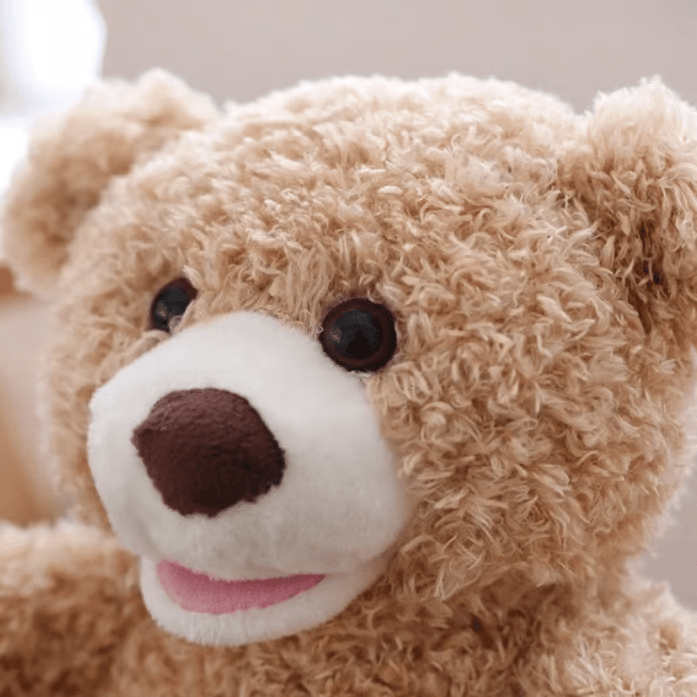 🎁Last Day Promotion 60% OFF-🧸THE PERSONALIZED PEEK-A-BOO BEAR