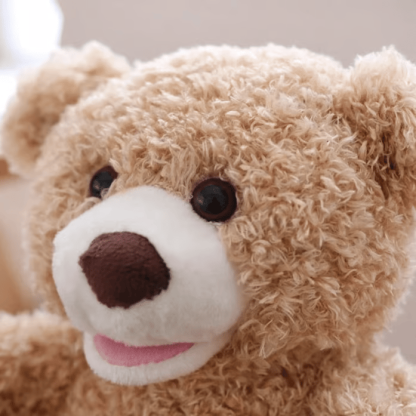 🎁Last Day Promotion 60% OFF-🧸THE PERSONALIZED PEEK-A-BOO BEAR