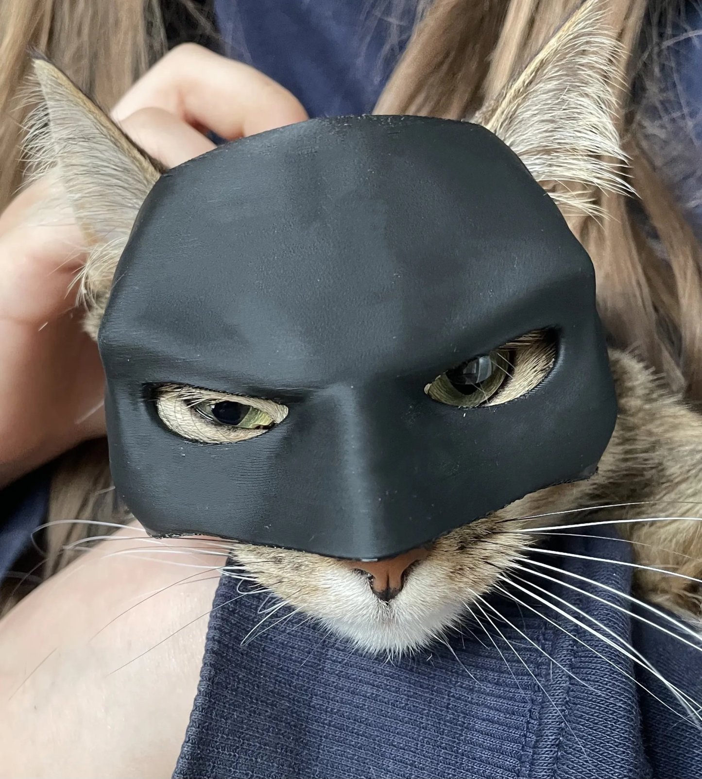 🦇3D Printed Bat Cat Mask