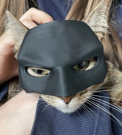 🦇3D Printed Bat Cat Mask
