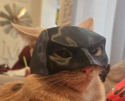 🦇3D Printed Bat Cat Mask