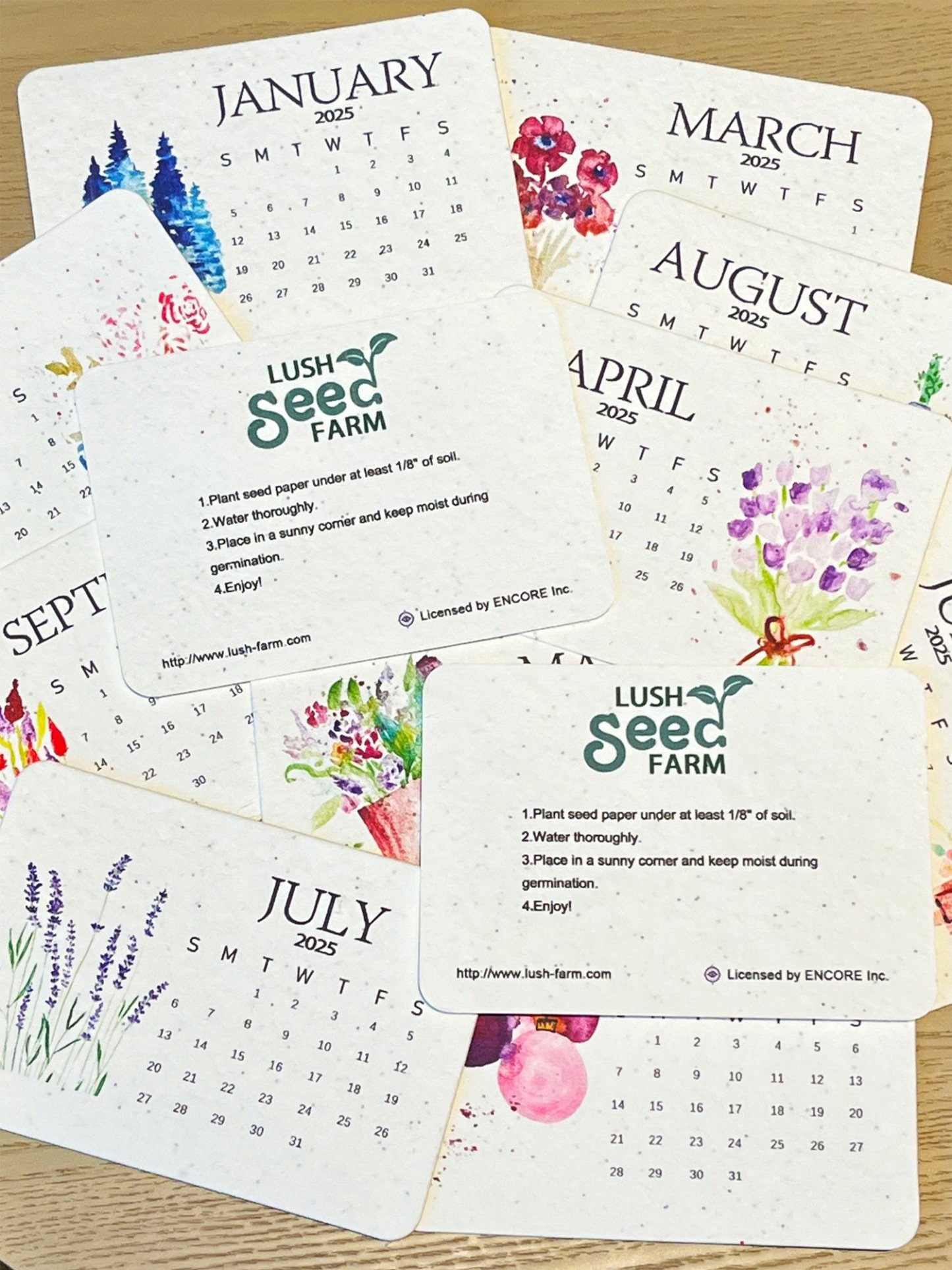 🌱Eco-Friendly Plantable Seed Calendar 2025