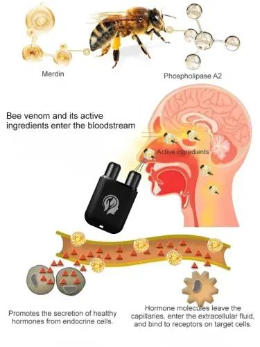 🔥Male Prostate Care Inhaler