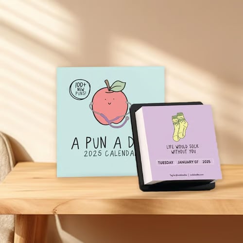 2025 Punny Daily Desk Calendar| Funny Calendar 2025 Day to Day for Home or Office