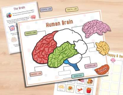 🔥Last Day 49% OFF- Human Anatomy Busy BookBUY 2 FREE SHIPPING