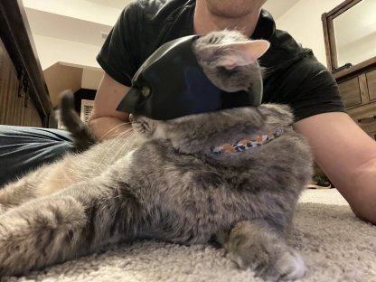 🦇3D Printed Bat Cat Mask