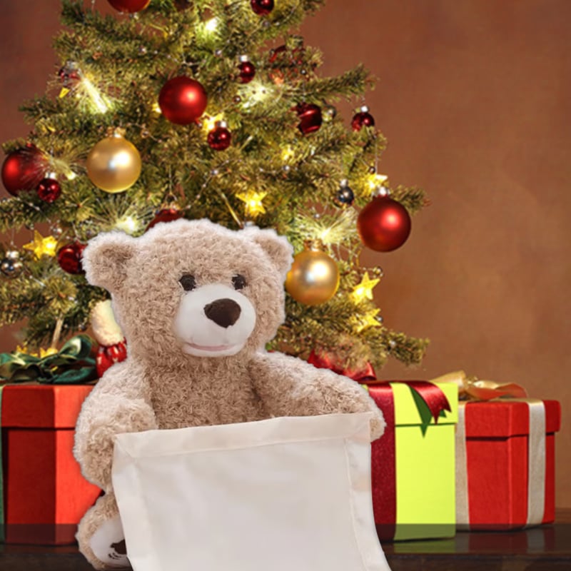 🎁Last Day Promotion 60% OFF-🧸THE PERSONALIZED PEEK-A-BOO BEAR