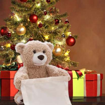 🎁Last Day Promotion 60% OFF-🧸THE PERSONALIZED PEEK-A-BOO BEAR