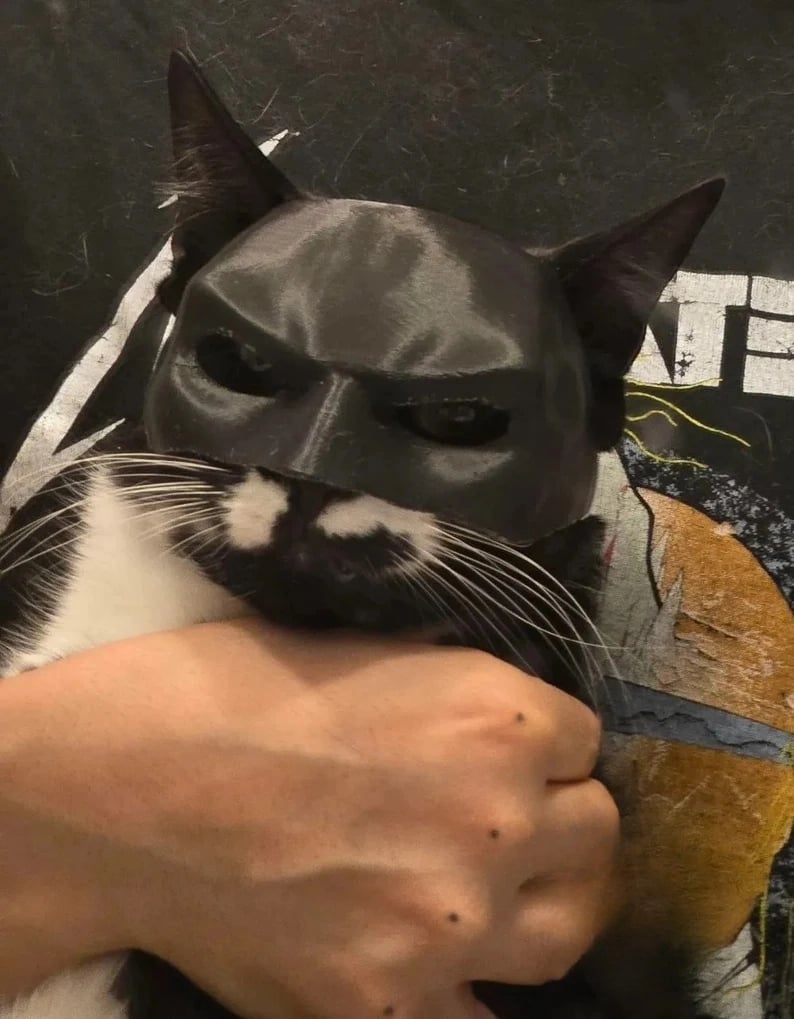 🦇3D Printed Bat Cat Mask