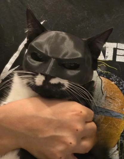 🦇3D Printed Bat Cat Mask