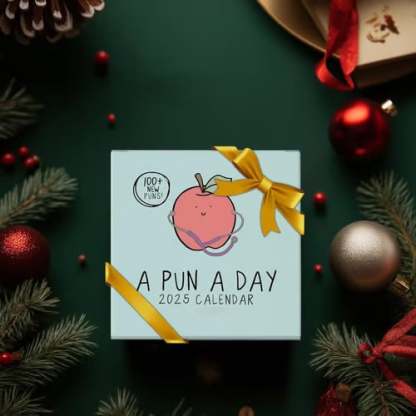 2025 Punny Daily Desk Calendar| Funny Calendar 2025 Day to Day for Home or Office