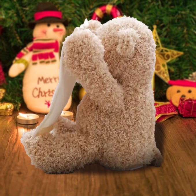 🎁Last Day Promotion 60% OFF-🧸THE PERSONALIZED PEEK-A-BOO BEAR