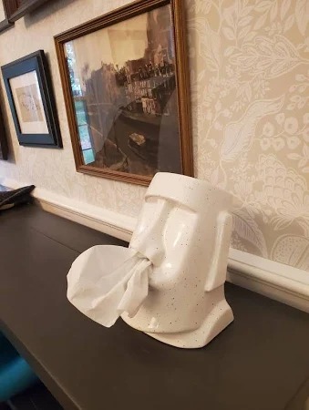 Funny Face Tissue Holder