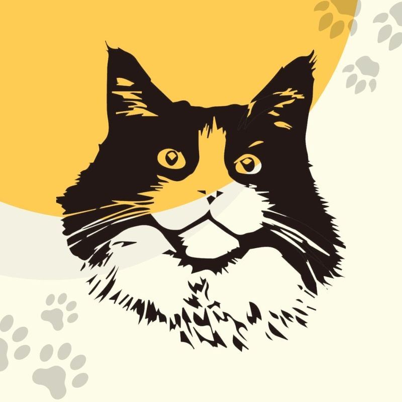 Choose your customized pet pattern