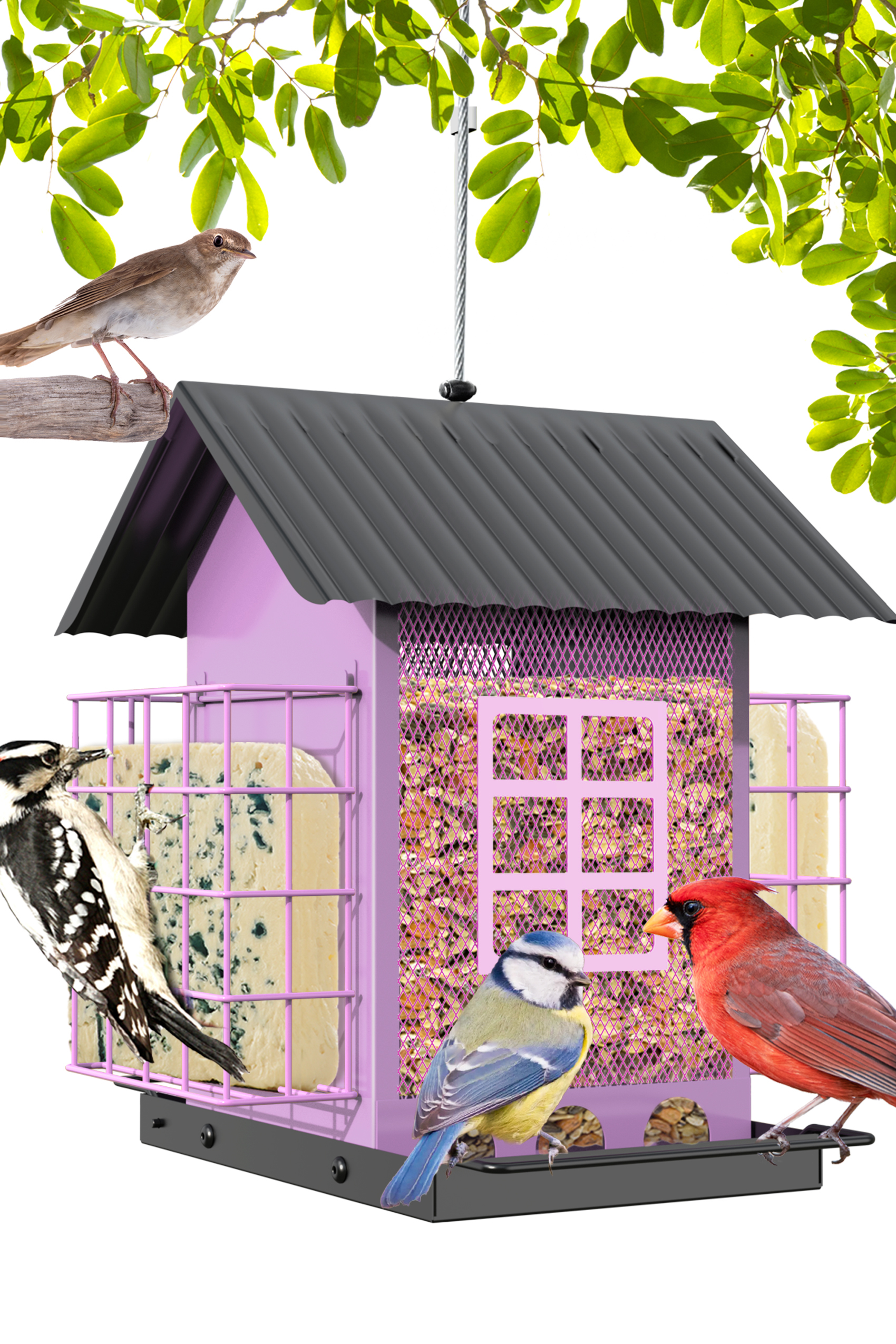 Bird Feeders for Outdoors Hanging, Metal Bird Feeder with Double Suet Cage Cake