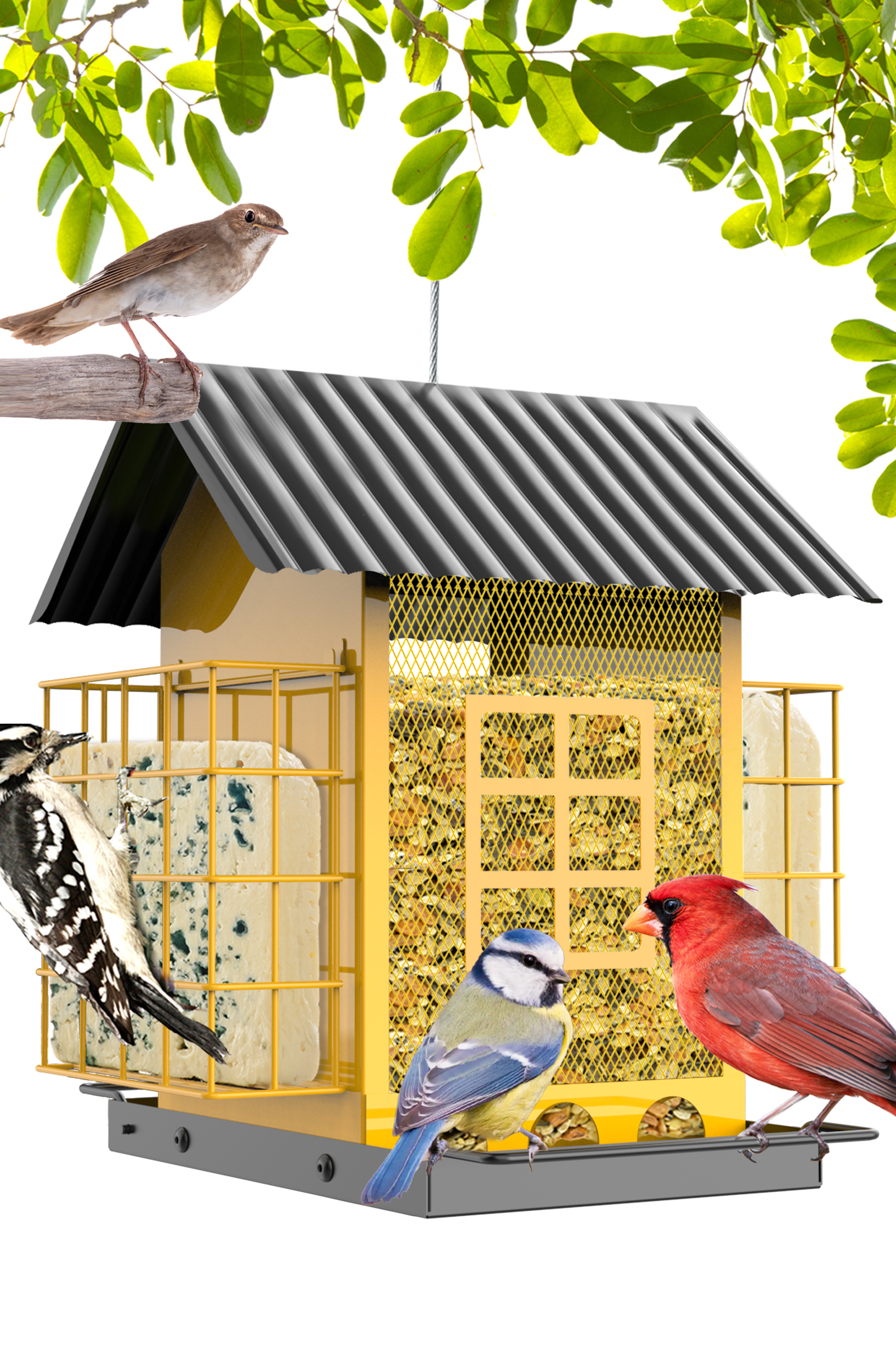 Bird Feeders for Outdoors Hanging, Metal Bird Feeder with Double Suet Cage Cake