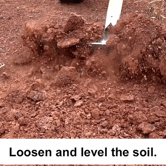 ProWeed™ Detachable Manganese Steel Rake - Durable Tool for Agricultural Weeding