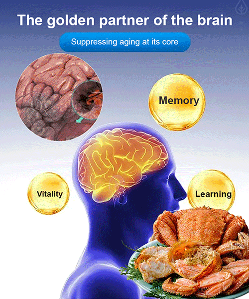 🦞【Hokkaido Selection】King Crab Whole Leg Meat