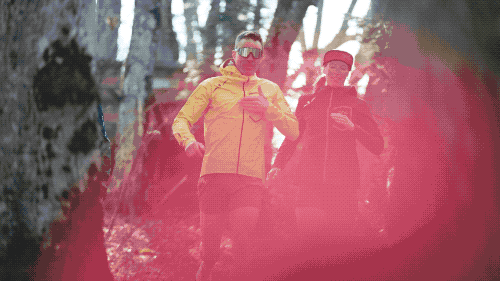 1703475575107286.gif 1.gif