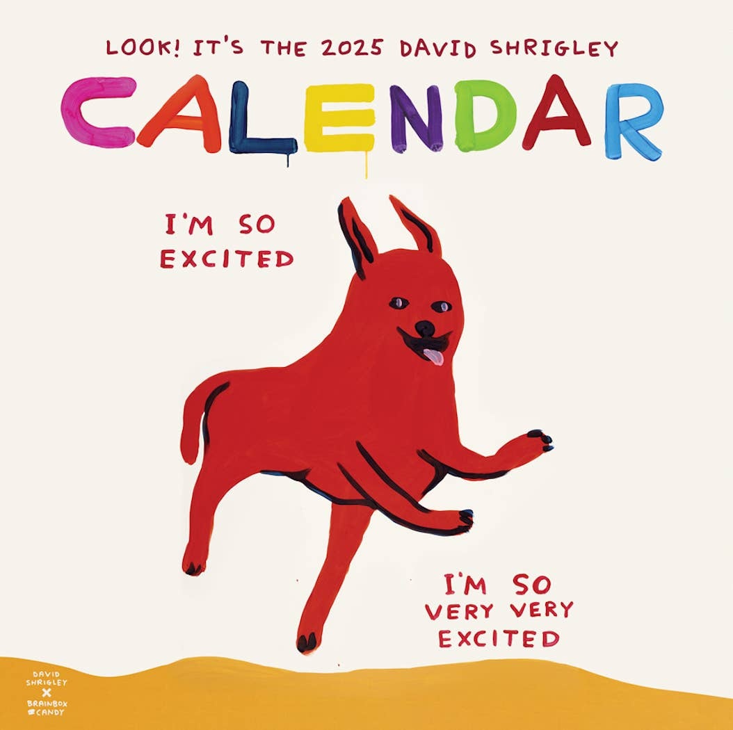 David Shrigley x Brainbox Candy - David Shrigley 2025 Calendar