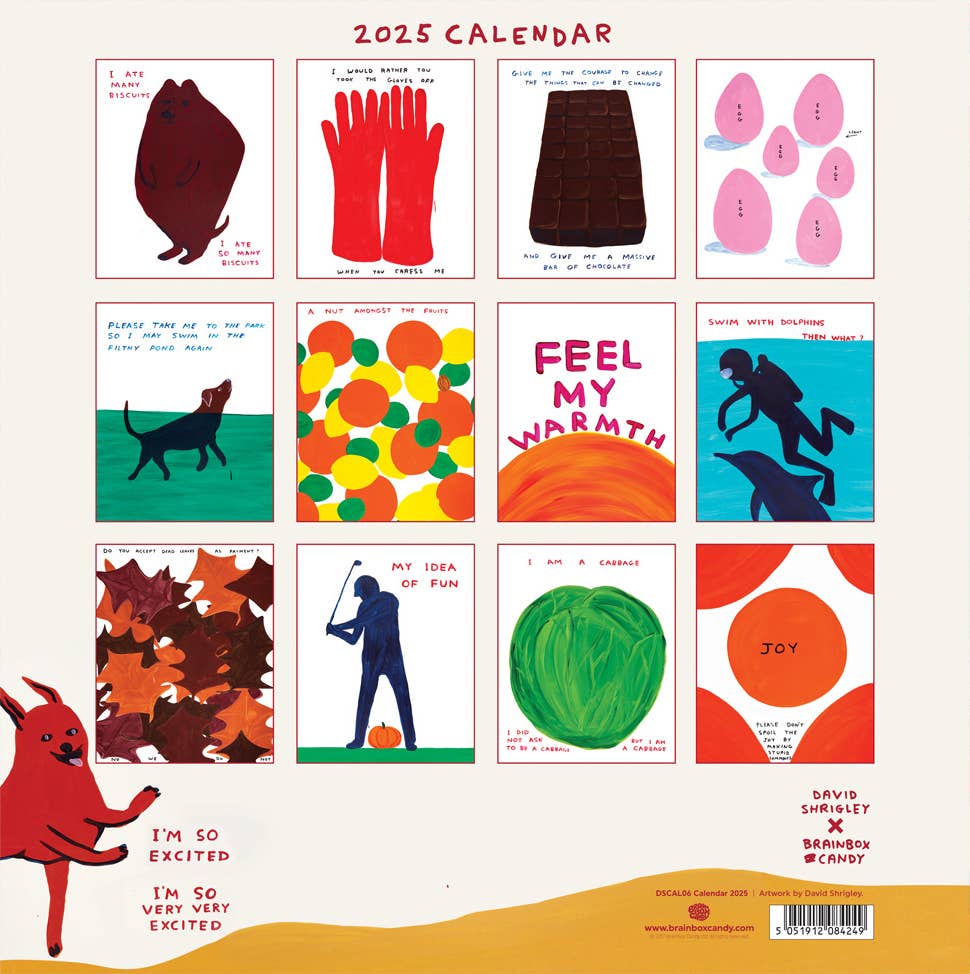 David Shrigley x Brainbox Candy - David Shrigley 2025 Calendar