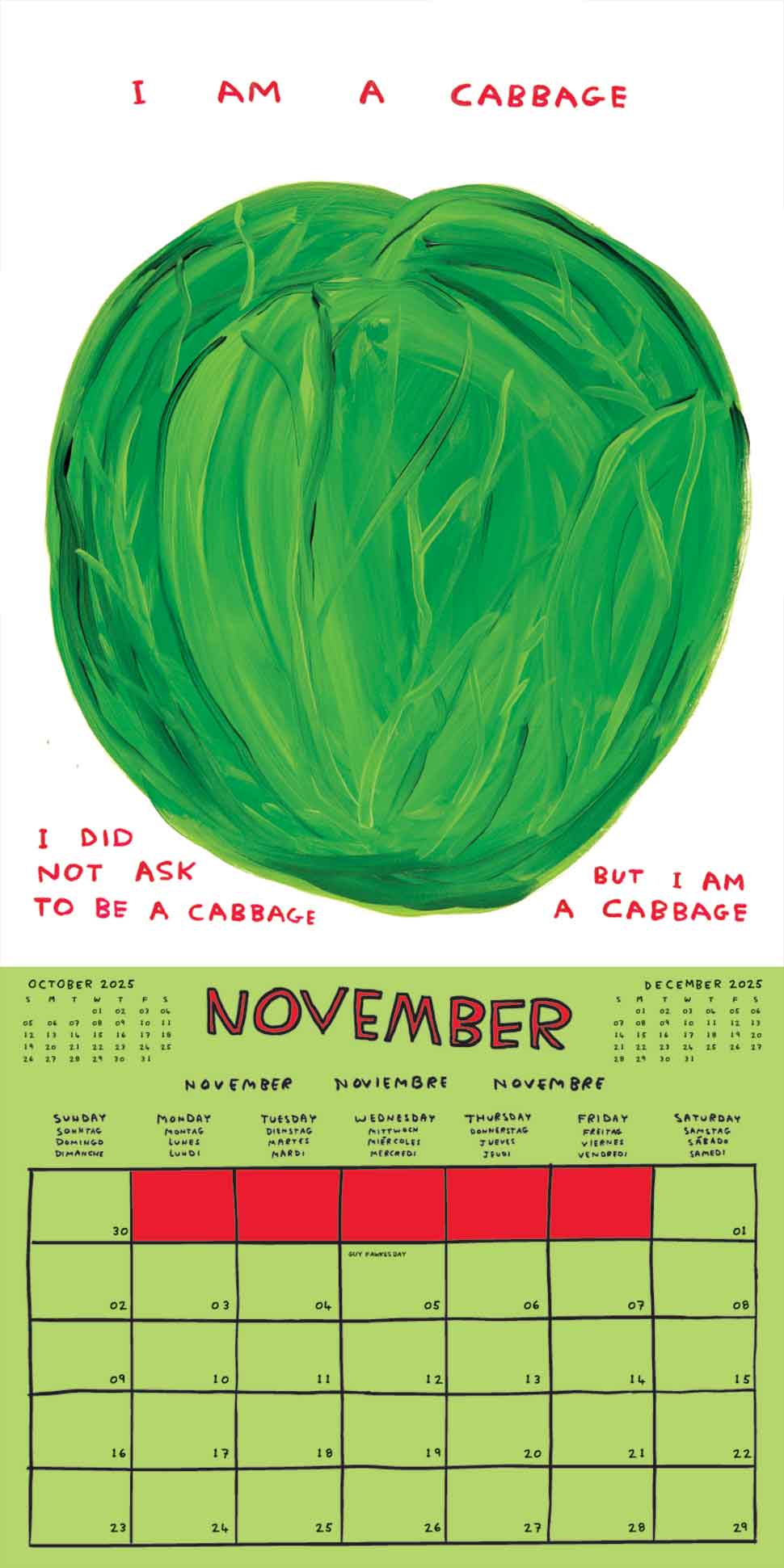 David Shrigley x Brainbox Candy - David Shrigley 2025 Calendar