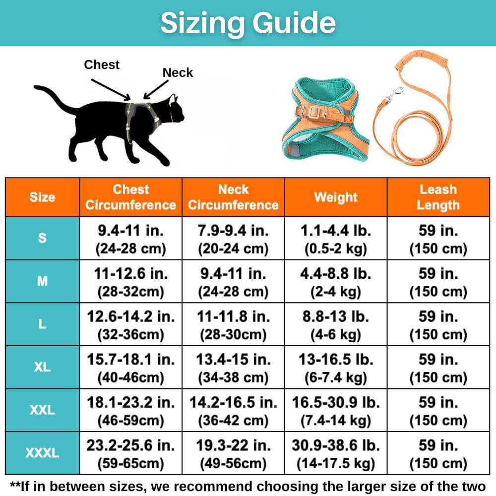 Cat harness size hotsell