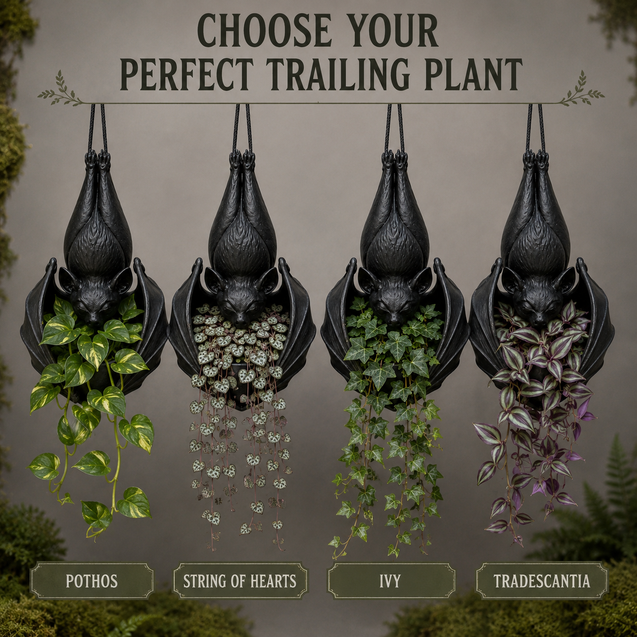 Trailing Plants Growing From Bat Planter