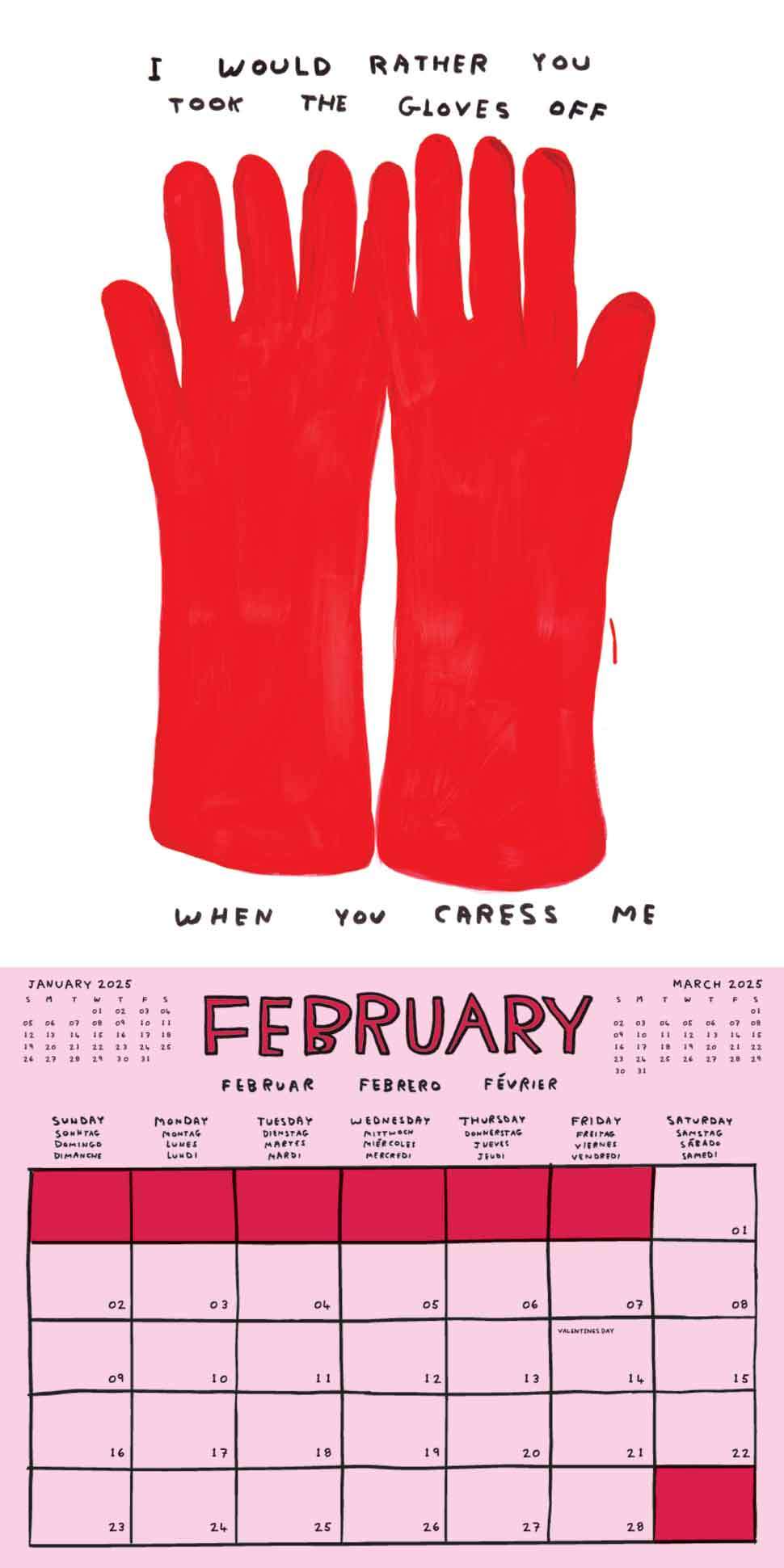 David Shrigley x Brainbox Candy - David Shrigley 2025 Calendar