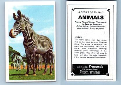 Zebra #2 Animals 1972 Trucards