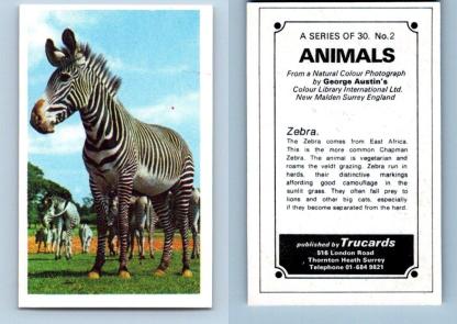 Zebra #2 Animals 1972 Trucards