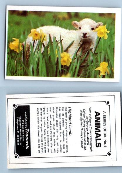 Highland Lamb #4 Animals 1972 Trucards